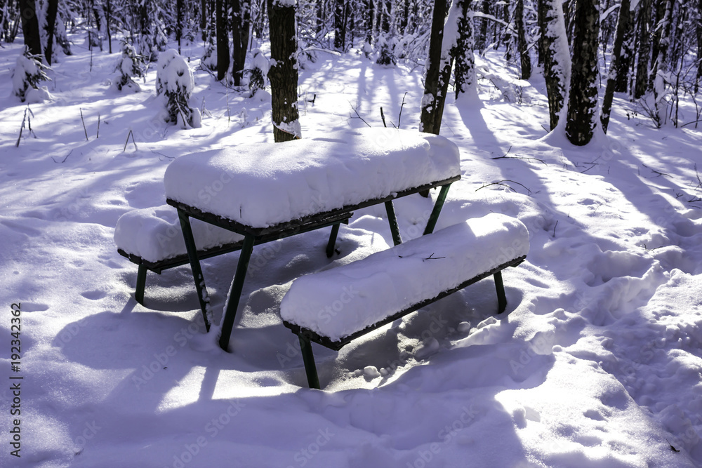Table and benches in the park after a heavy snowfall. Interesting photo for the site about nature, parks and seasons.