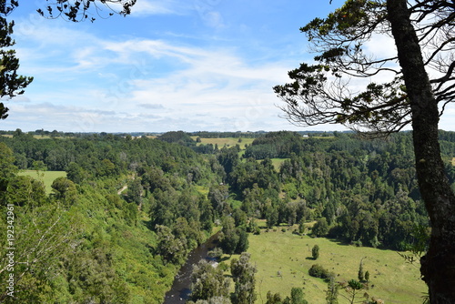 lago ranco photo