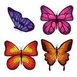 beautiful butterflies flying set vector illustration design