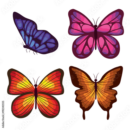beautiful butterflies flying set vector illustration design