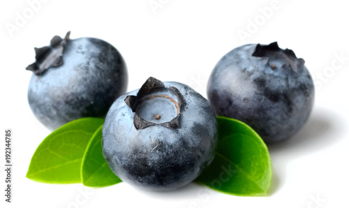 fresh blueberries with green leaves isolated on the white background