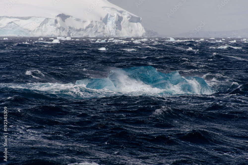 Fototapeta premium Ice in Antarctic sea