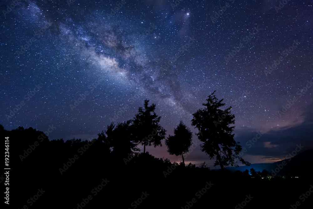 milky way rise above trees. image content soft focus, blur and noise due to long expose and high iso.
