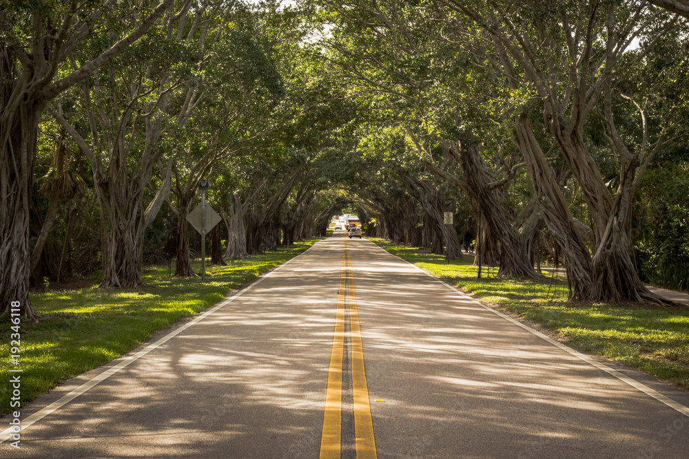 Obraz premium where to