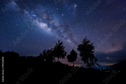 milky way rise above trees. image content soft focus, blur and noise due to long expose and high iso.