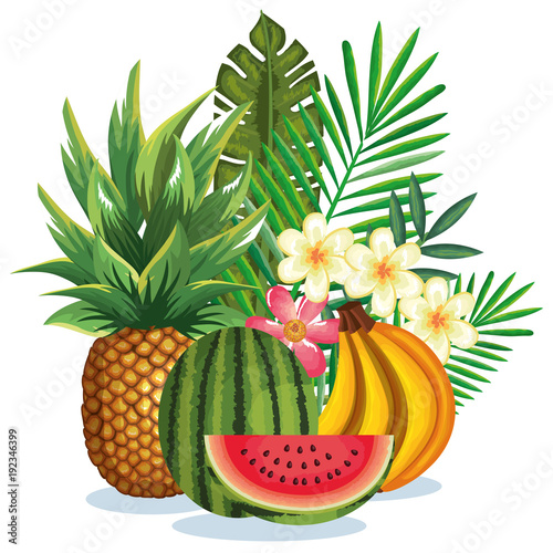 tropical garden with fruits vector illustration design fruits, leaves and flowers, summer and exotic concept