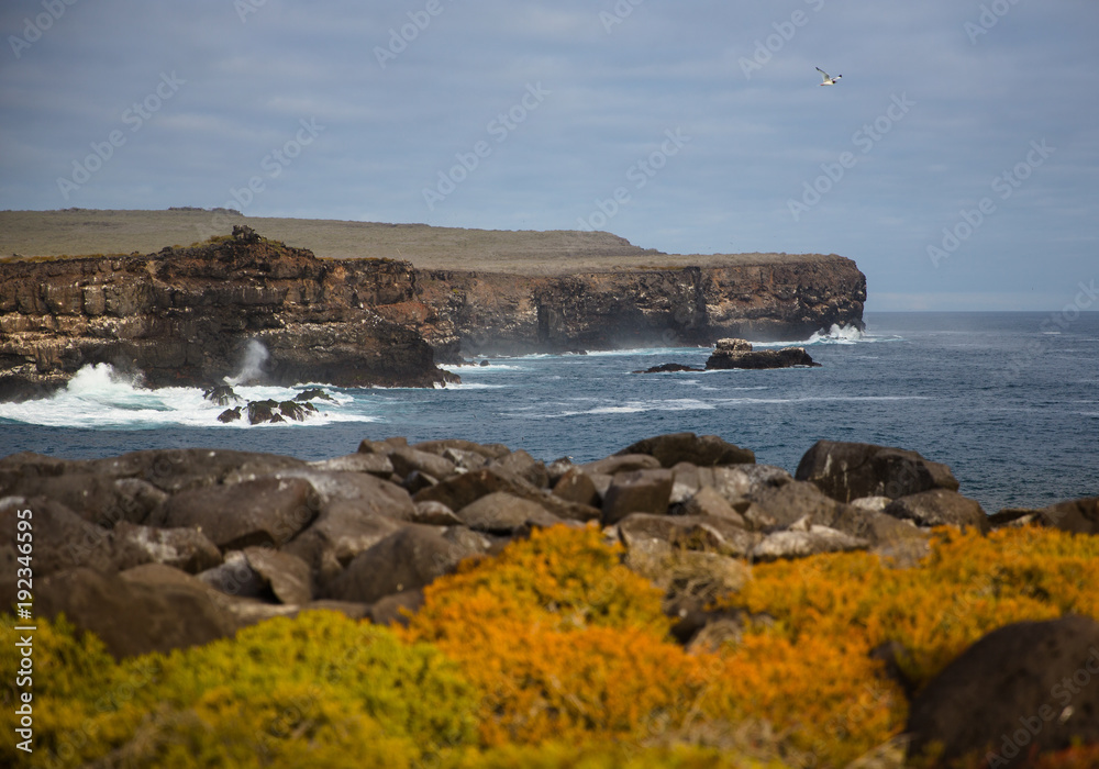 Colorful Galapagos Landscape