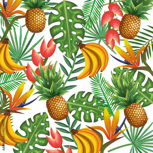 tropical garden with pineapple and banana cluster vector illustration design fruits, leaves and flowers, summer and exotic concept