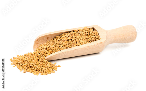 Seeds fenugreek in scoop