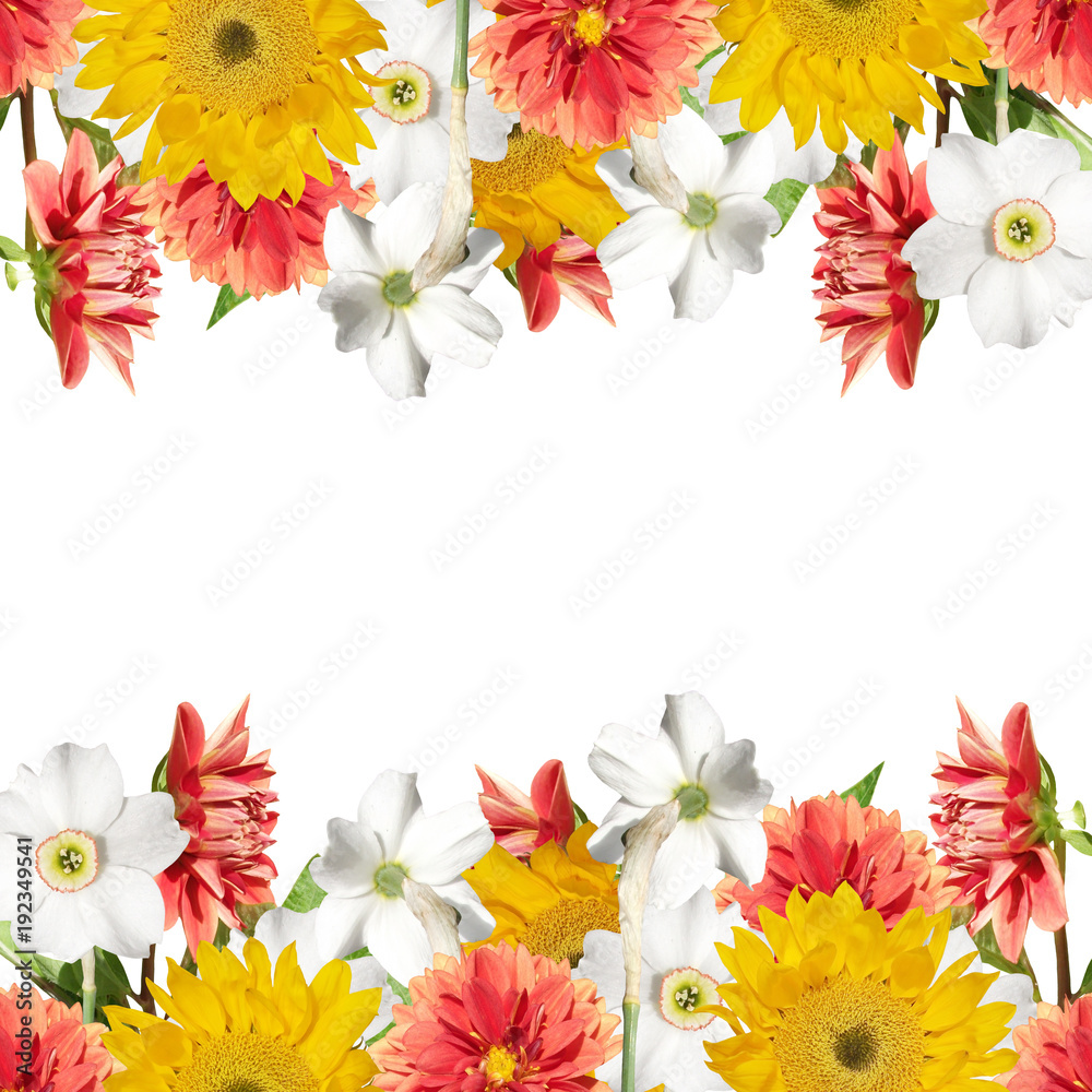 Beautiful floral background of daffodils, dahlias and sunflowers Beautiful floral background of daffodils, dahlias and sunflowers