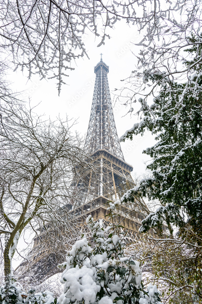 Winter in Paris in the snow. Low angle view of the Eiffel tower through snow covered branches.