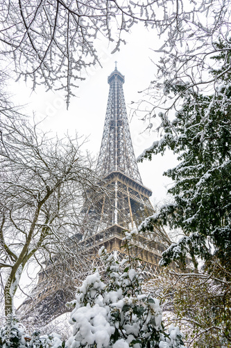 Fototapeta Naklejka Na Ścianę i Meble -  Winter in Paris in the snow. Low angle view of the Eiffel tower through snow covered branches.