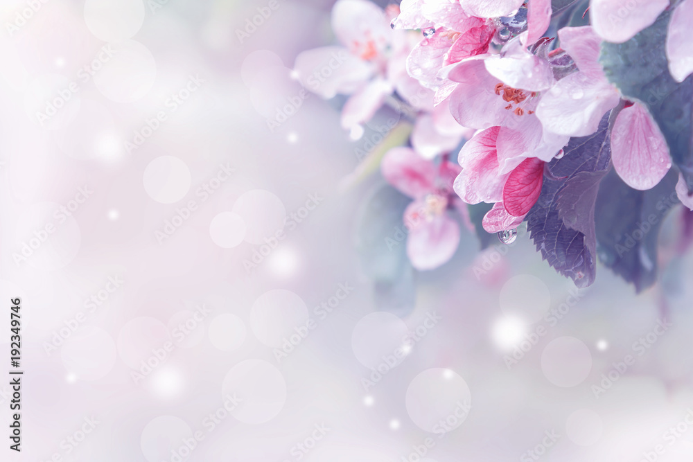 Image with purple tint. Image with purple tint.