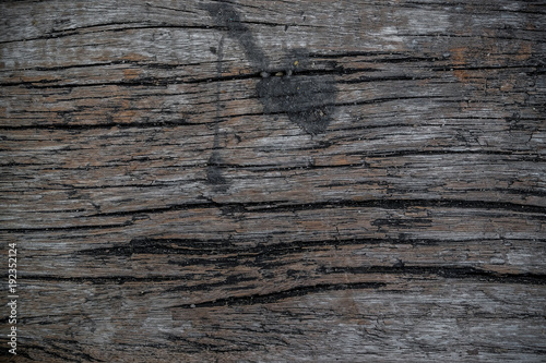 Wood texture rought and old background