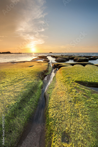 rocks covered by green moss by the beach during vibrant sunset.