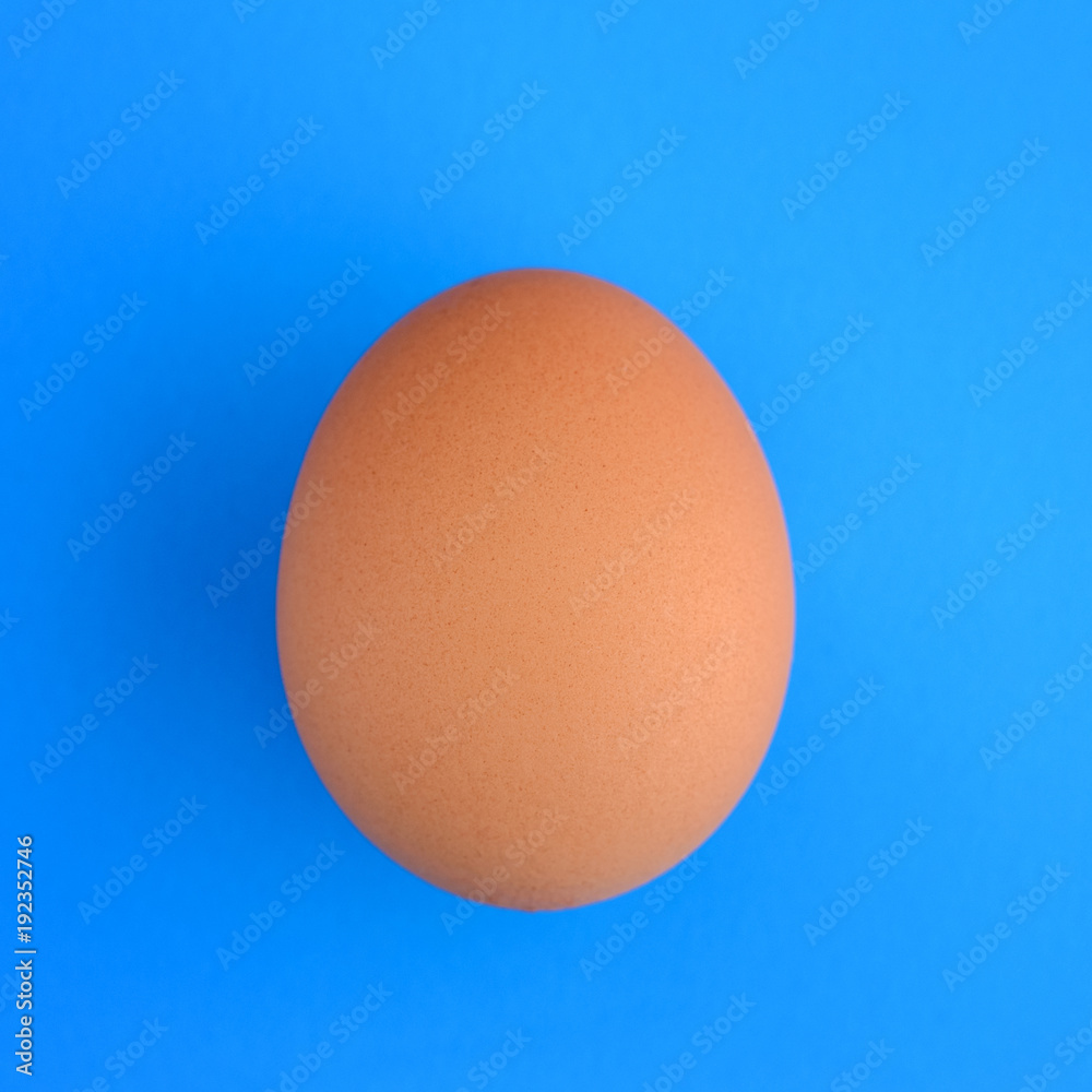Brown egg on a blue background Brown egg on a blue background