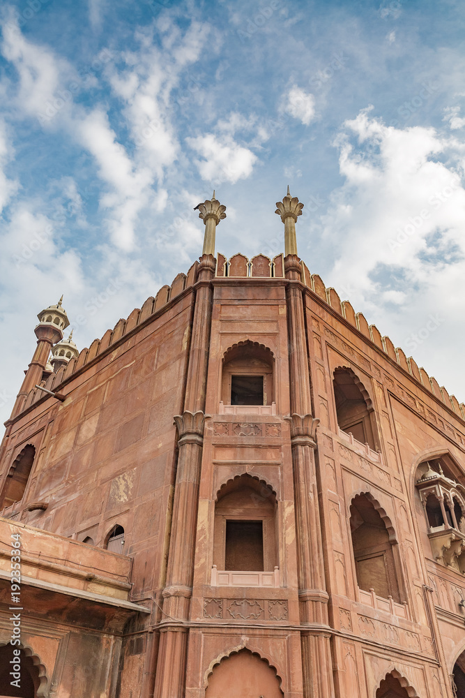 architectural detail of the facade of the Jama Masjid, New Delhi, India