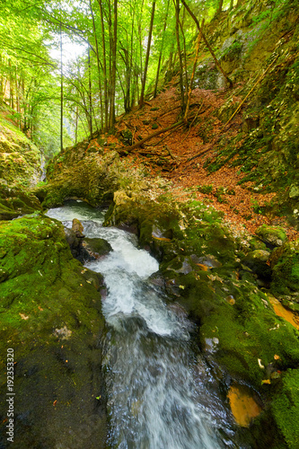 River and canyon in Romania