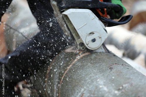 Kaminholz Brennholz Holzfäller sagt Holz mit der Motorsäge