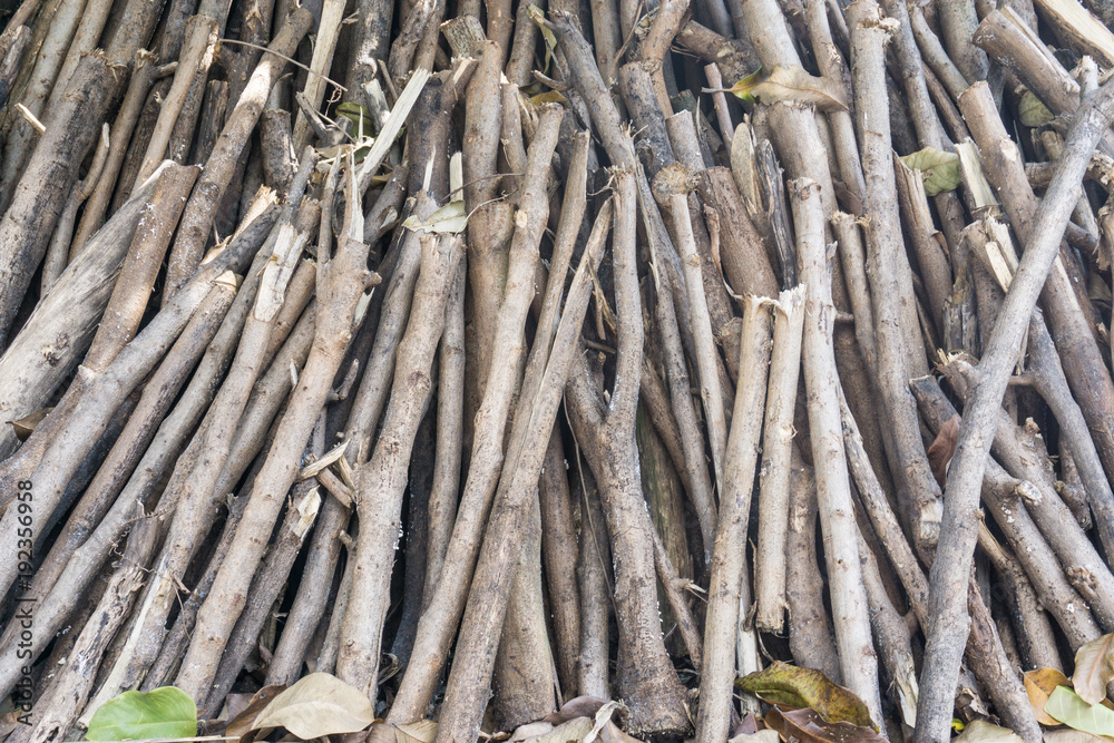 Pile of tree branches composition as a background texture Pile of tree branches composition as a background texture