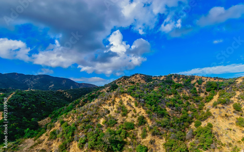 Spring green hillsides in California mountain area