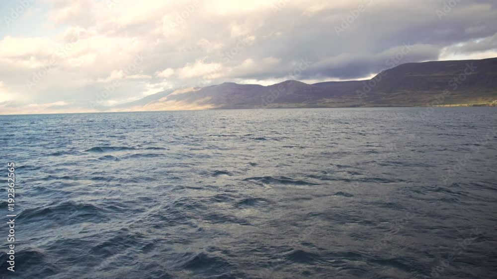 Sailing in a Beautiful Fjord Sailing in a Beautiful Fjord