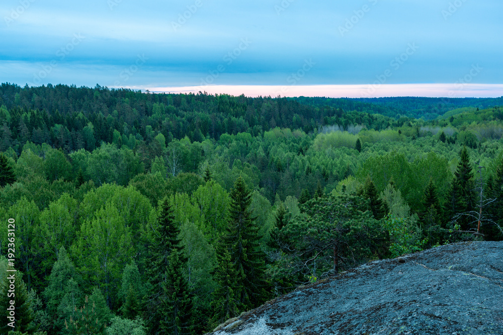 Morning over the spring forest, View from a high rock Morning over the spring forest, View from a high rock