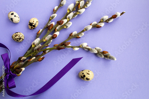 Photography Bouquet of willow  branches and quail eggs  on the  violet  background