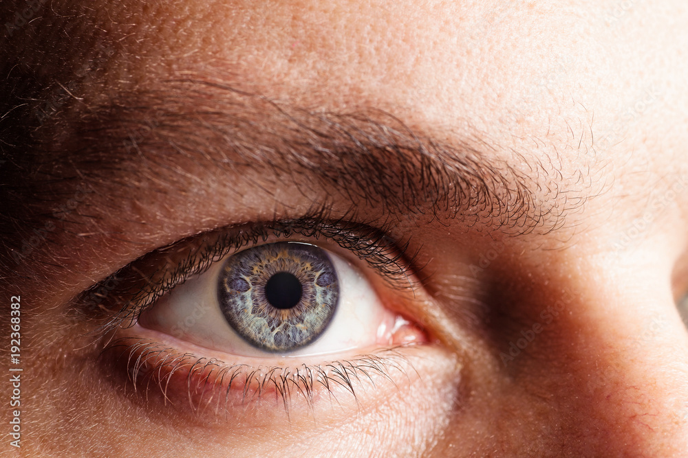 Fototapeta premium Human eye close up