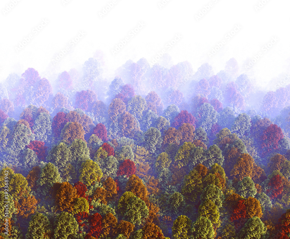 3d View of forest receding into the distance in thick fog