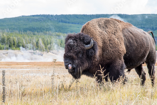 How do you pick your nose without fingers?