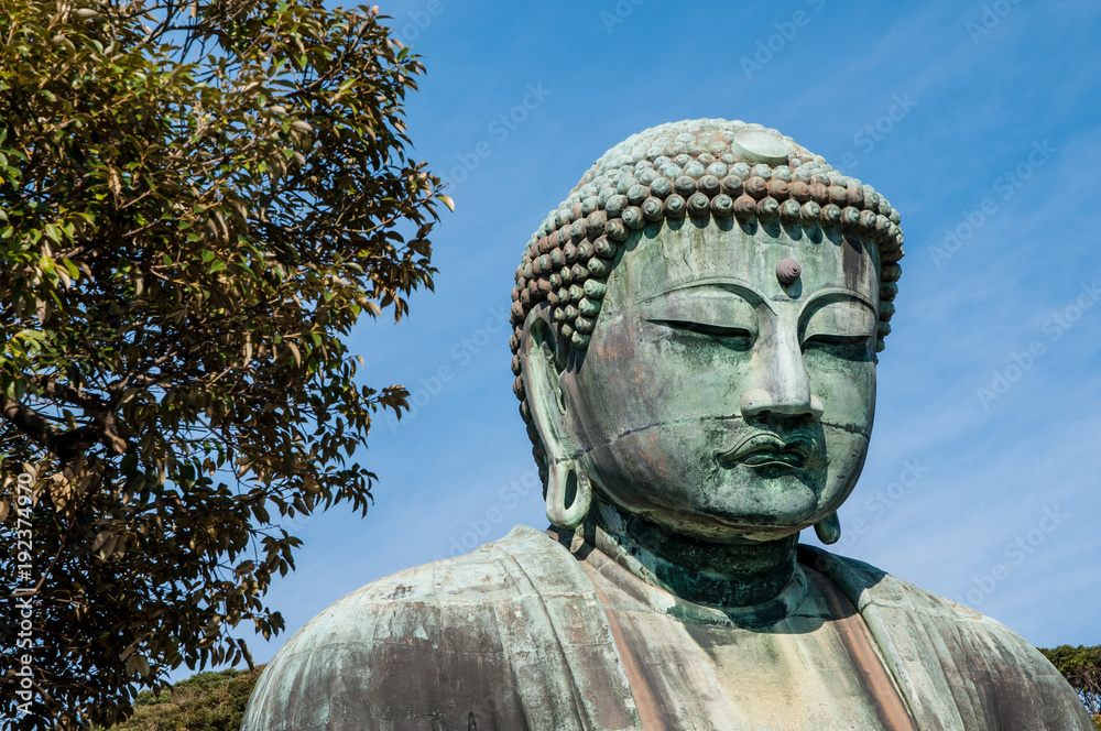 Testa del Big Buddha di Kamakura