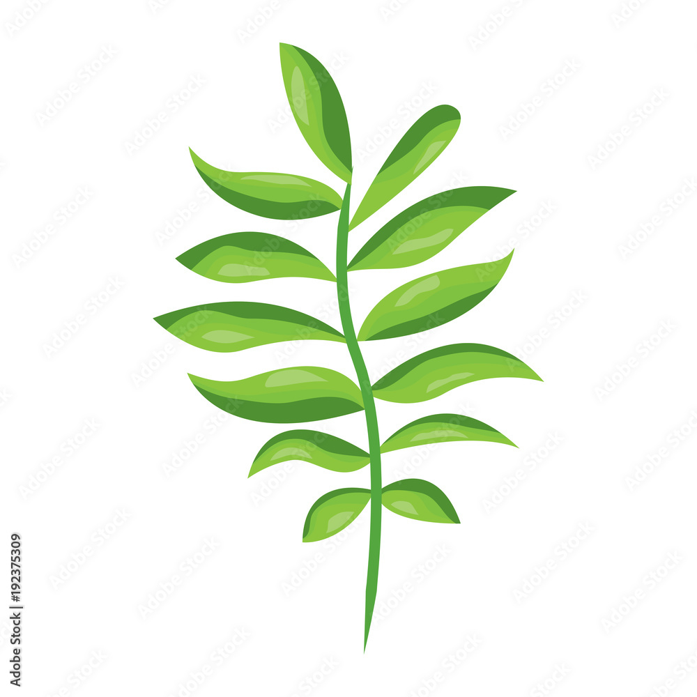 Naklejka premium tree branch with green leaves plant natural vector illustration