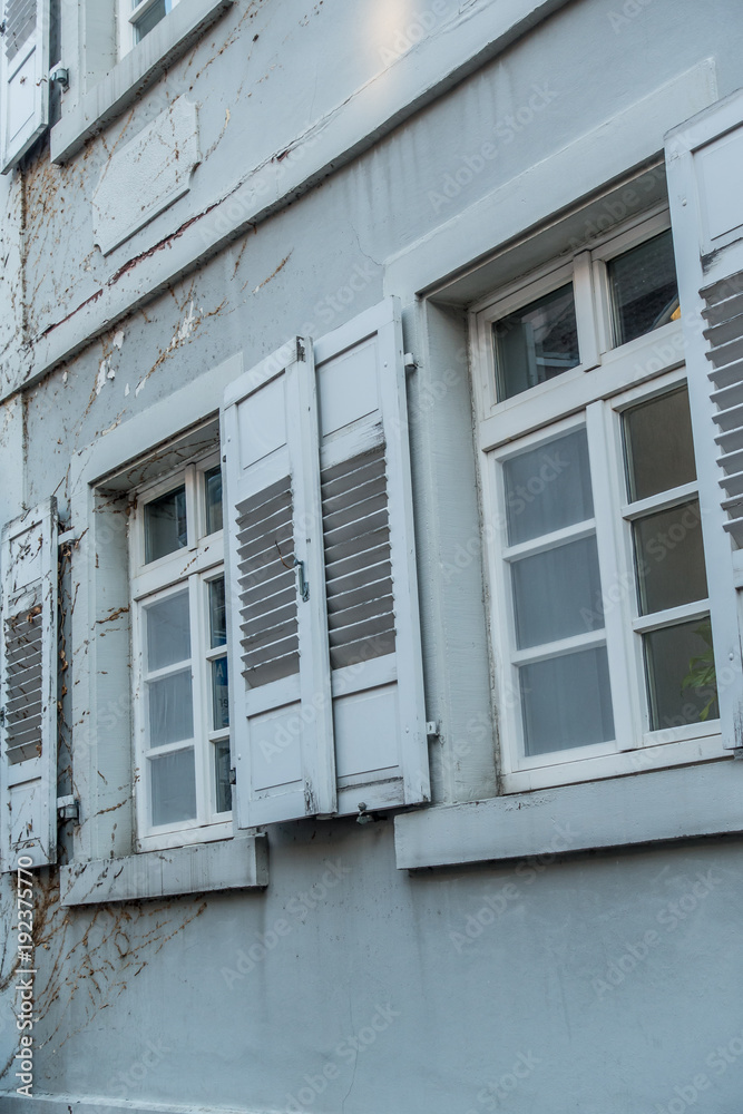 Fototapeta premium Schäden durch Efeu