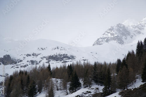 Granite mountains covered with snow and winter forest near Mont Blanc Alpes, Italy