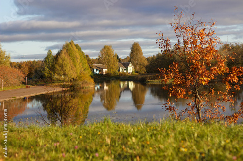 Pond in autumn, yellow leaves, reflection