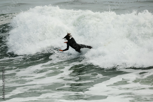 Konstfotografi Surfer in large wave wipes out and falls off surf board