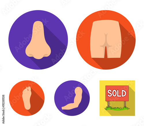 Buttocks, nose, arm, foot. Part of the body set collection icons in flat style vector symbol stock illustration web.