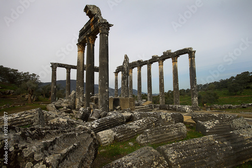 Euromos Temple photo