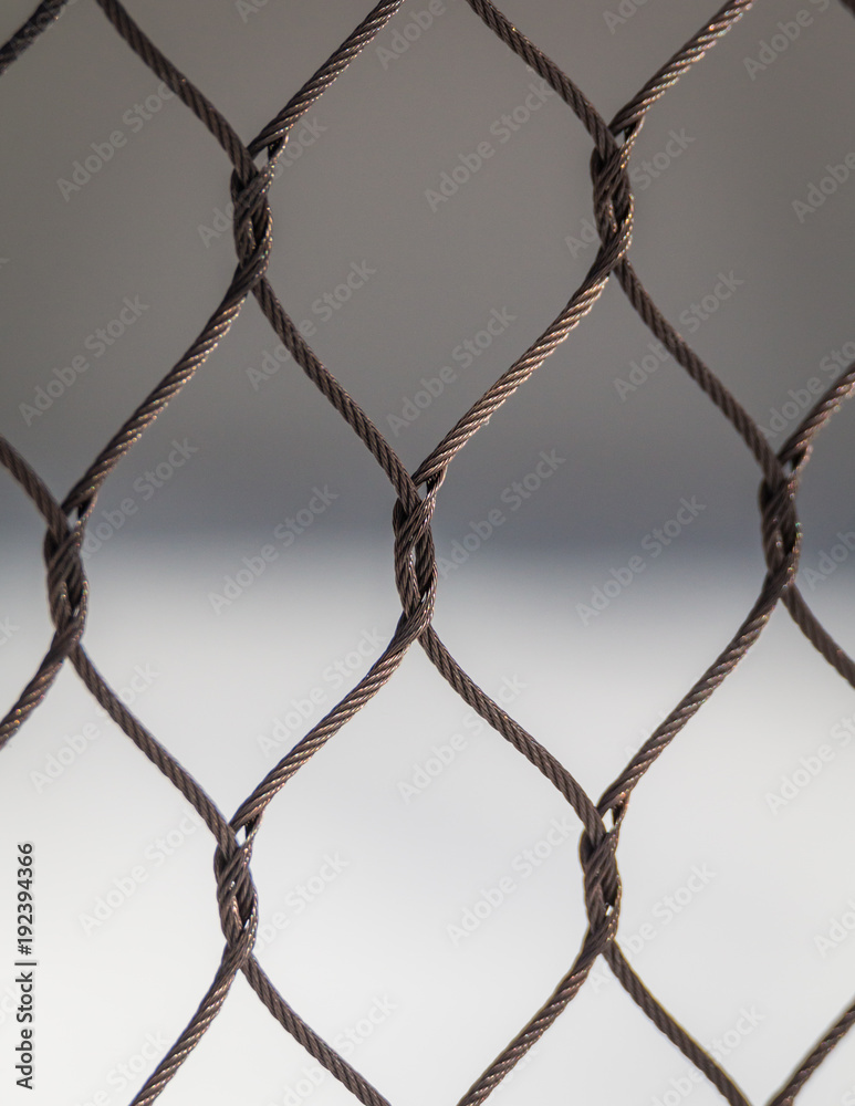 Wire Net Close-Up Wire Net Close-Up