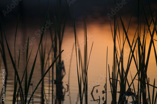 Mingo Creek Sunset Marsh, Tulsa, OK 