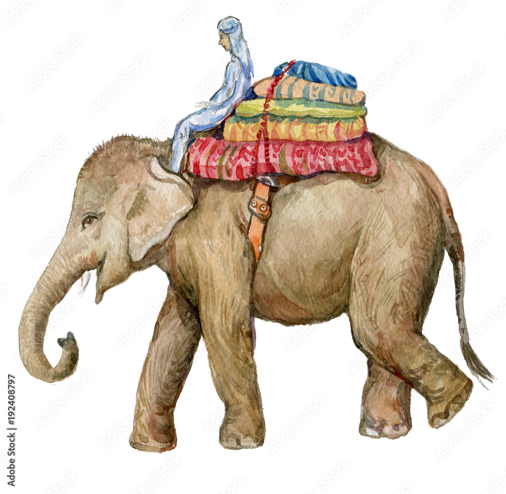 Naklejka premium elephant, watercolor