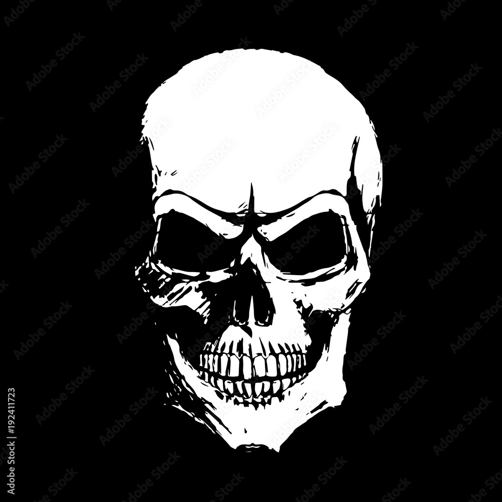 White skull on a black background Stock Photo | Adobe Stock