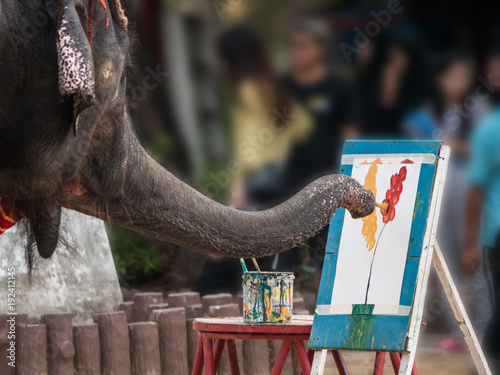 Photography Artist elephant is painting picture of colorful flowers at Samutprakarn crocodil