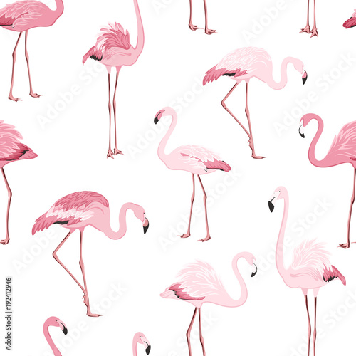 Obraz na płótnie egzotyczny flamingo raj dziki fauna