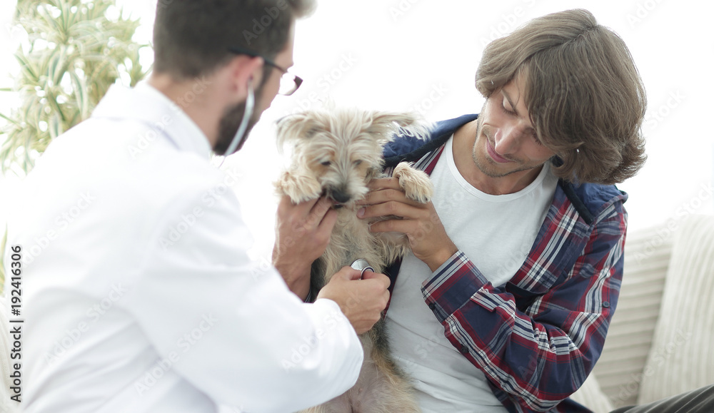Loving owner with a Yorkshire terrier in the office of a veterinarian Loving owner with a Yorkshire terrier in the office of a veterinarian