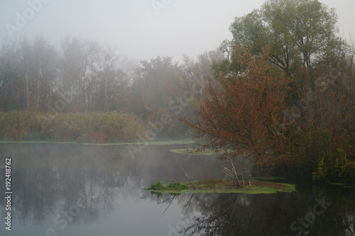 River landscape and autumn wood