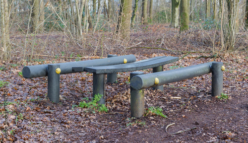 Fitness equipment in a forest - One stage of many