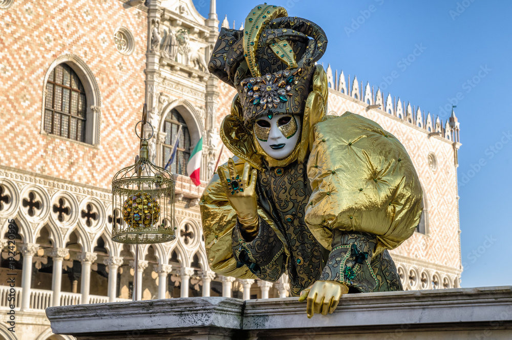 Person in mask at The Carnival of Venice 2018. Doge's palace at background