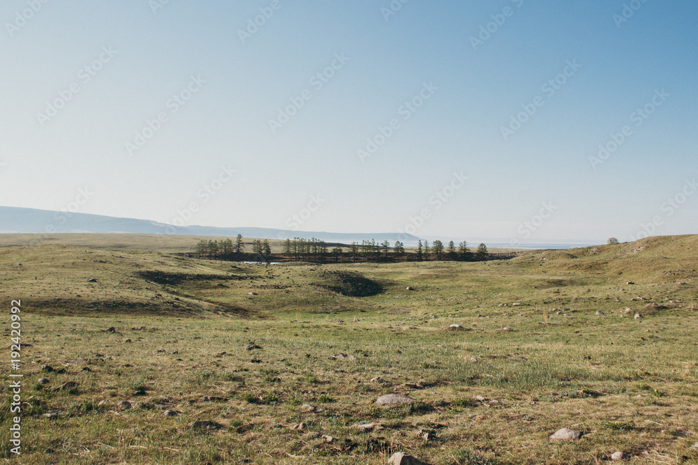 valley, forest and lake